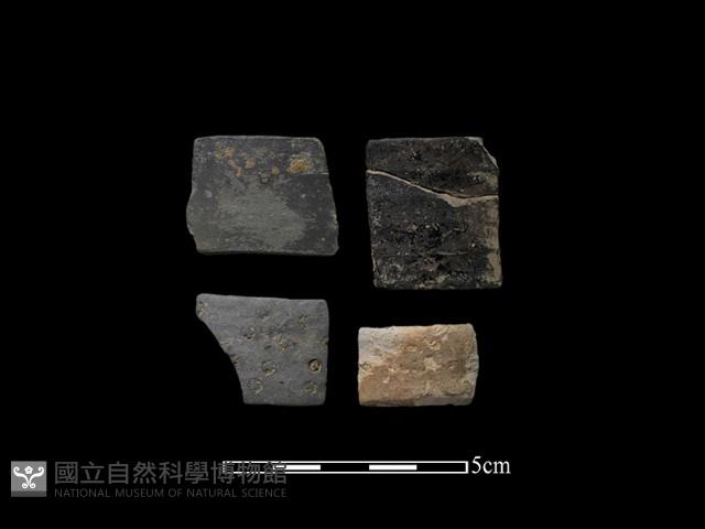 陶環藏品圖，第1張