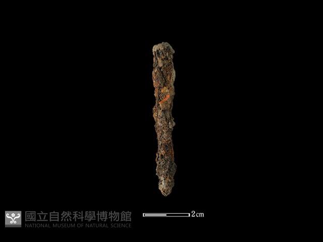 鐵釘藏品圖，第1張