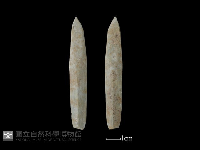 矛鏃形器藏品圖，第1張