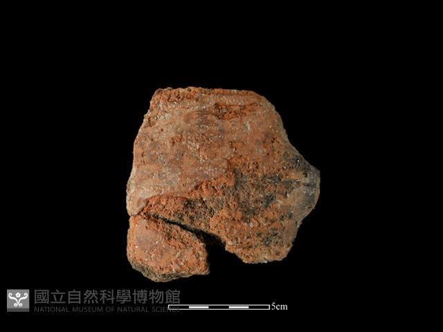 陶片藏品圖，第1張