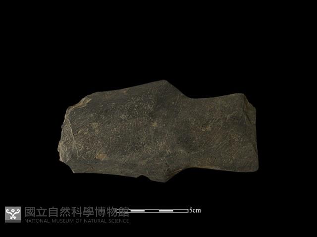 戈形器藏品圖，第1張