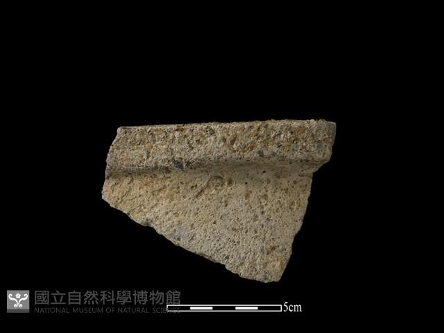 陶盆藏品圖，第2張