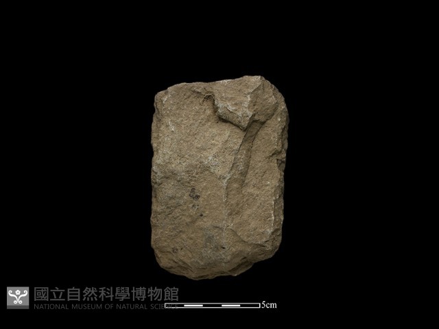斧鋤形器藏品圖，第2張