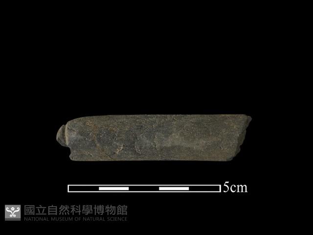 網墜藏品圖，第2張