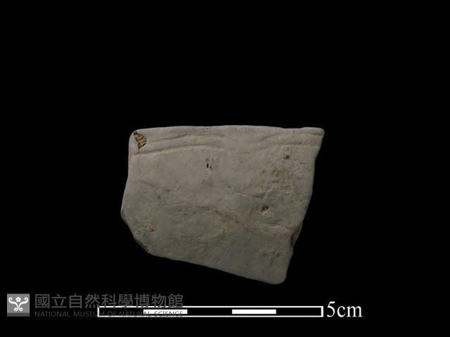 陶缽藏品圖，第1張