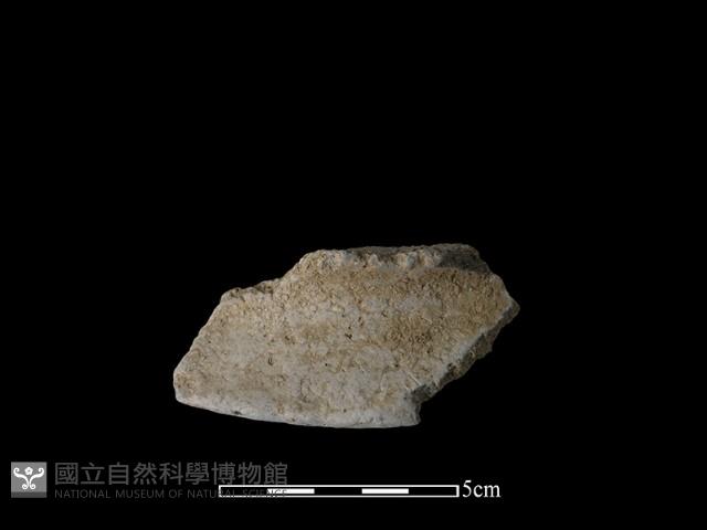 陶片藏品圖，第2張