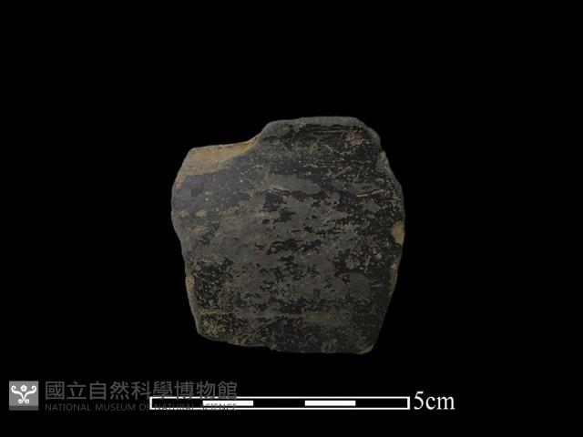 陶片藏品圖，第1張