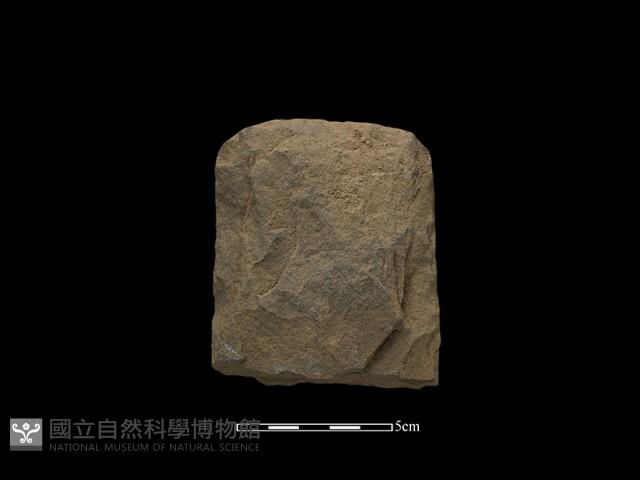 斧鋤形器藏品圖，第1張