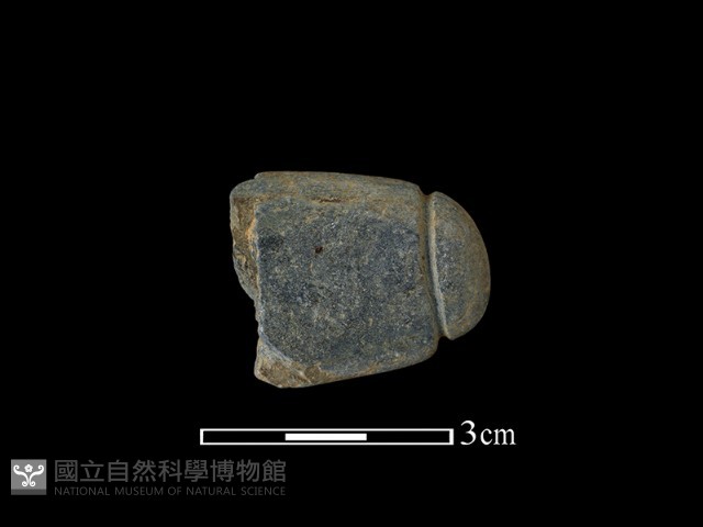 網墜藏品圖，第2張