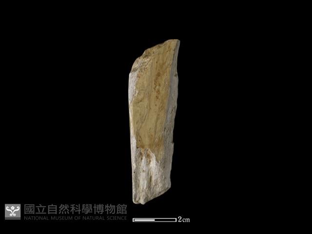 錛鑿形器藏品圖，第1張