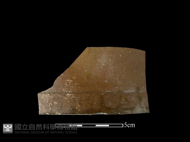 硬陶片藏品圖，第2張