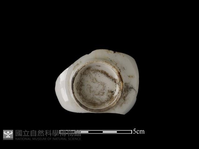 Accession Number:SNZ-2014-041 Collection Image, Figure 2, Total 3 Figures