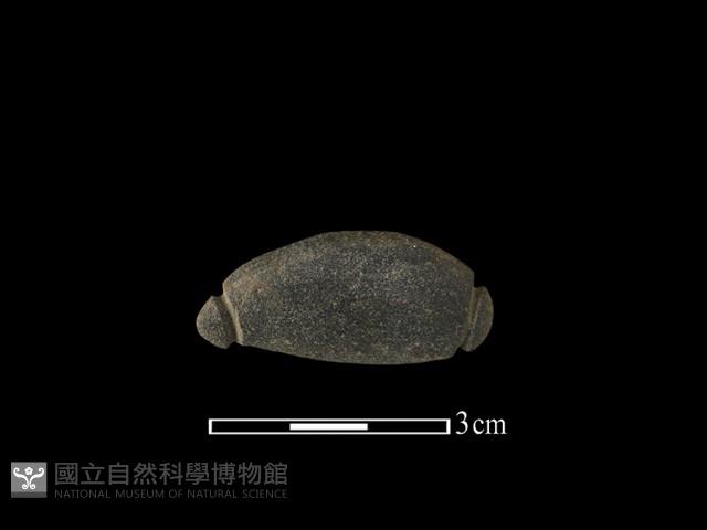網墜藏品圖，第1張