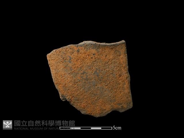 陶片藏品圖，第2張