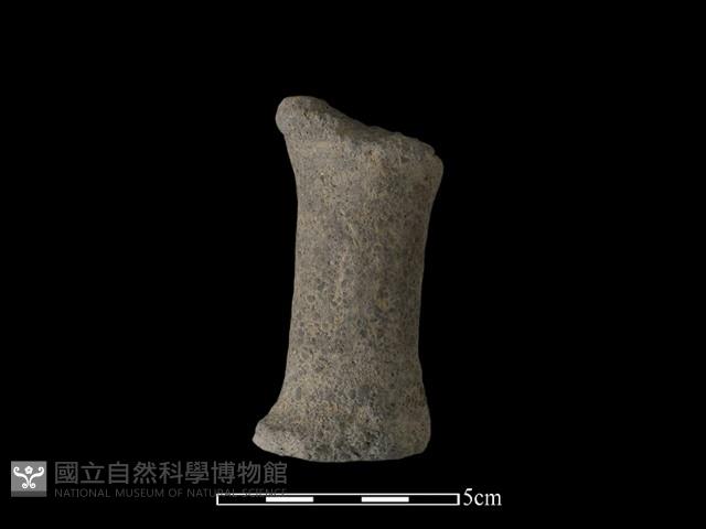 獸足藏品圖，第1張