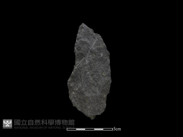 Accession Number:SCT-2014-081 Collection Image, Figure 2, Total 2 Figures