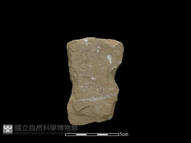 斧鋤形器藏品圖，第2張
