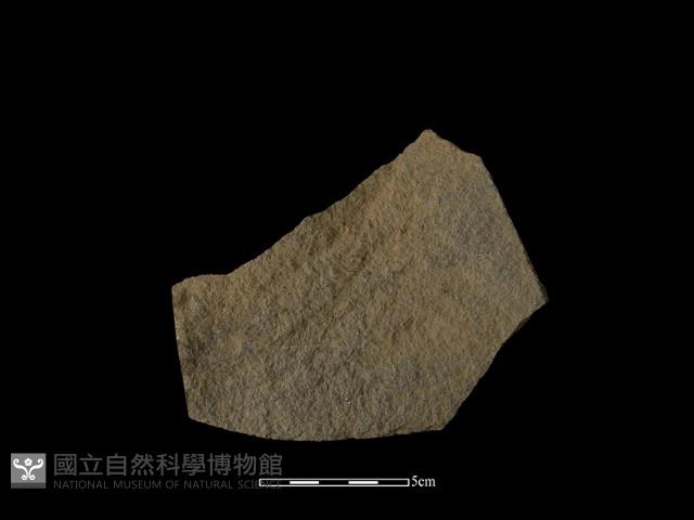 石片器藏品圖，第2張