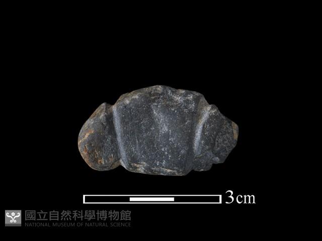 網墜藏品圖，第1張