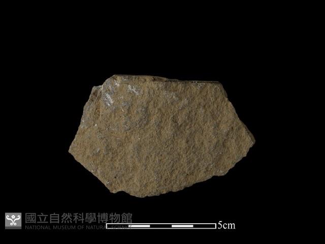 石片器藏品圖，第1張