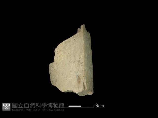 帶加工痕石材藏品圖，第1張