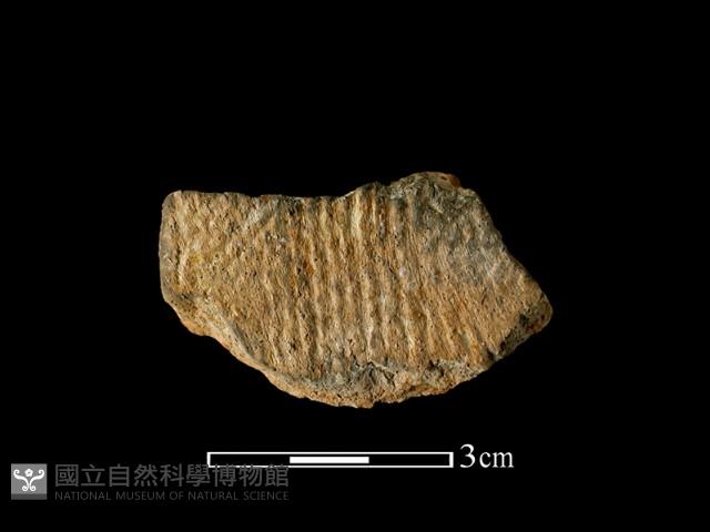 陶片藏品圖，第1張