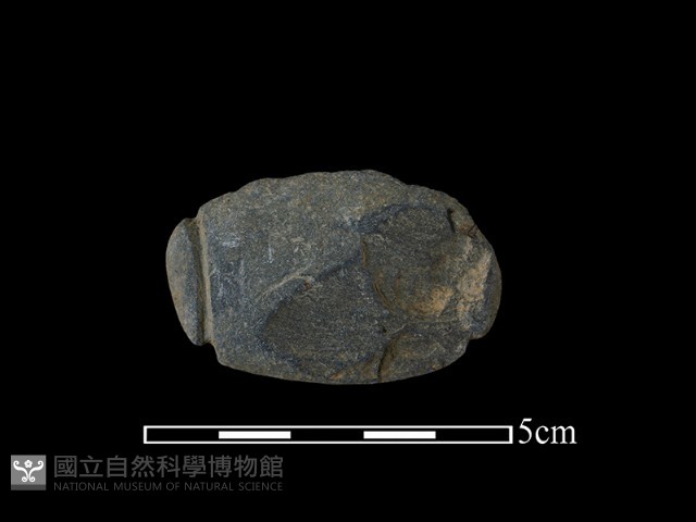 網墜藏品圖，第1張