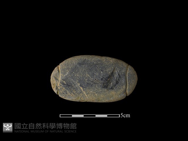 網墜藏品圖，第2張