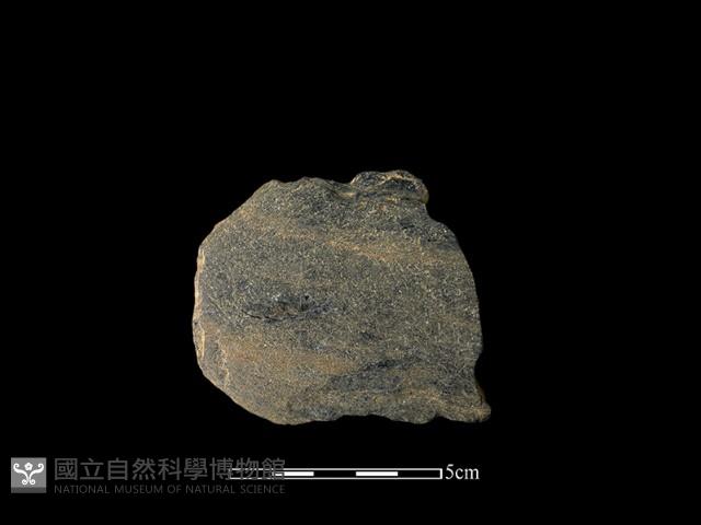 石鏟藏品圖，第1張