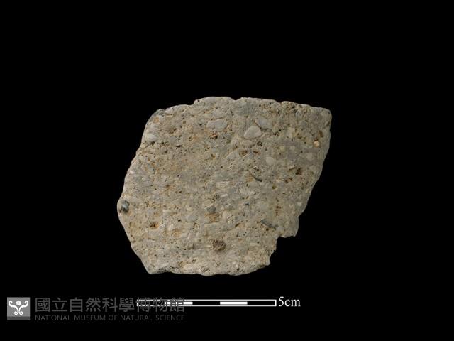 陶片藏品圖，第1張