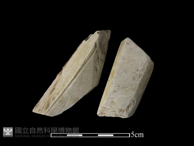 帶加工痕石材藏品圖，第1張