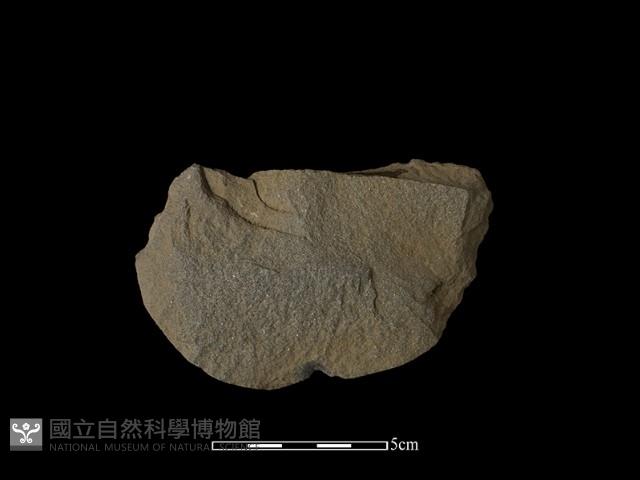 石片器藏品圖，第1張