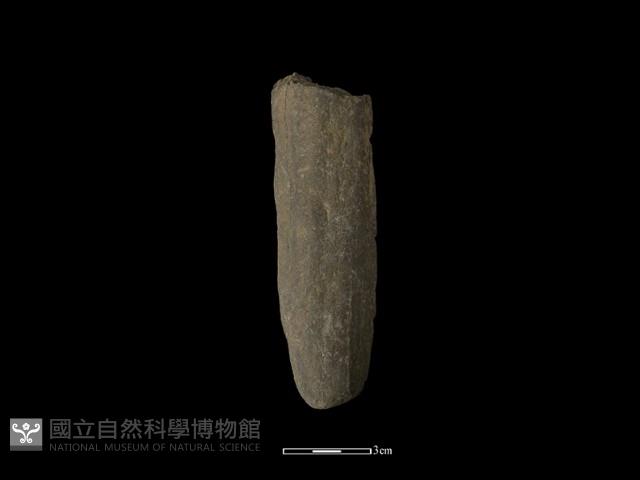 間接打擊棒藏品圖，第1張