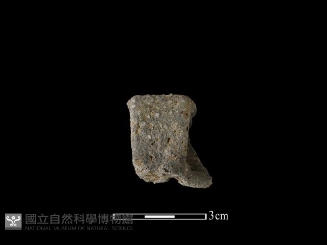 陶耳藏品圖，第2張