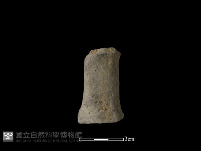 陶獸足藏品圖，第1張