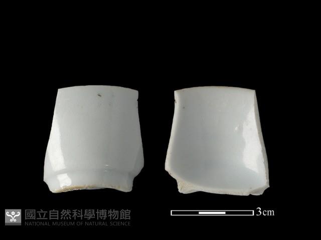 瓷杯藏品圖，第1張