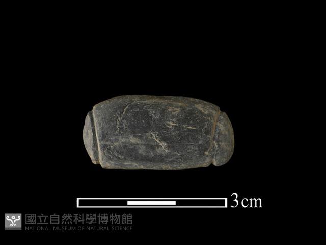 網墜藏品圖，第1張