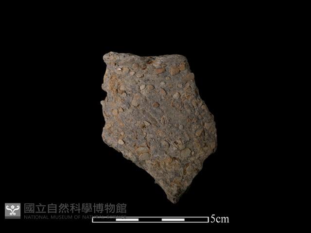 陶片藏品圖，第2張