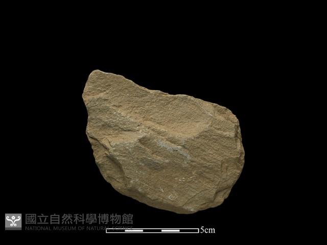 斧鋤形器藏品圖，第1張