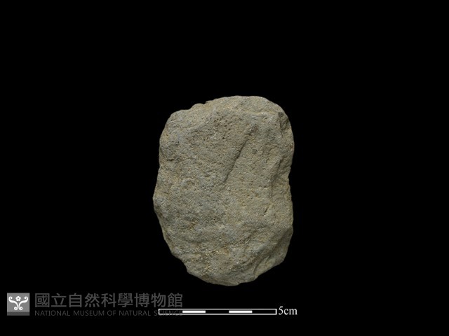 斧鋤形器藏品圖，第1張