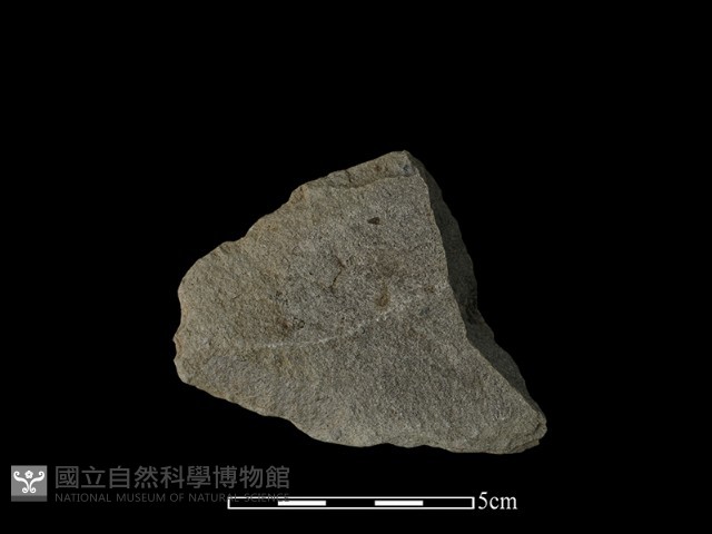 石片器藏品圖，第1張