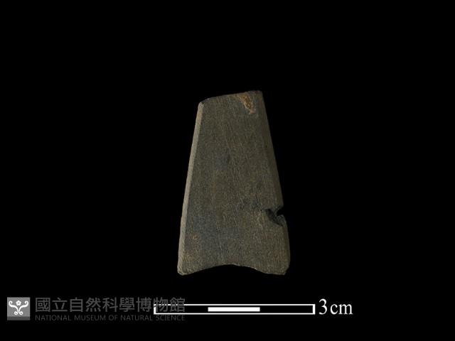 矛鏃形器藏品圖，第1張