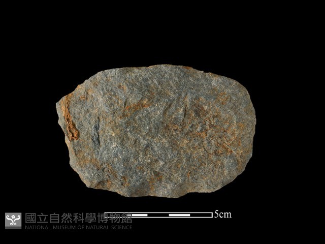 石片器藏品圖，第1張