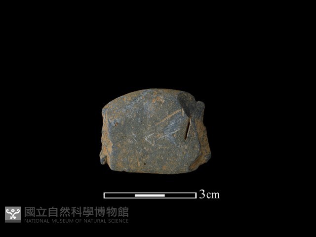 網墜藏品圖，第1張