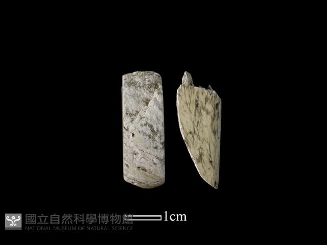 錛鑿形器藏品圖，第1張