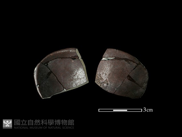 湯匙藏品圖，第1張