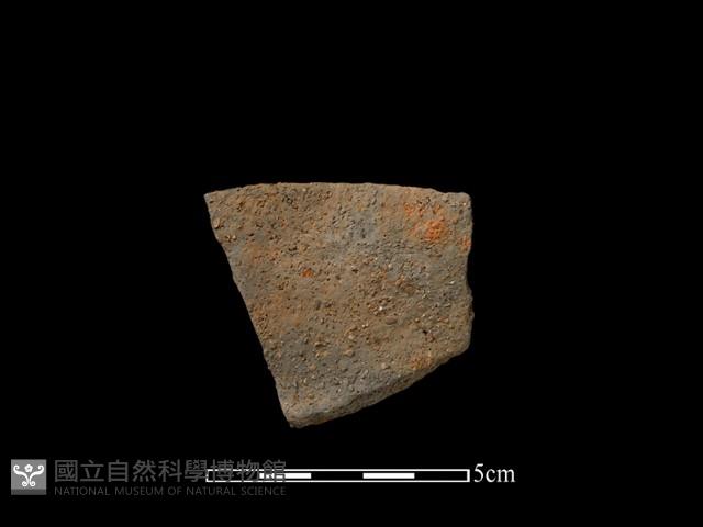 陶片藏品圖，第2張
