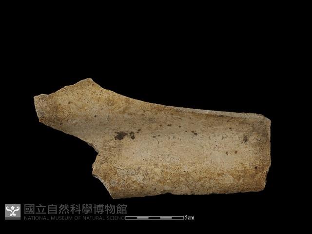 瓦片藏品圖，第2張