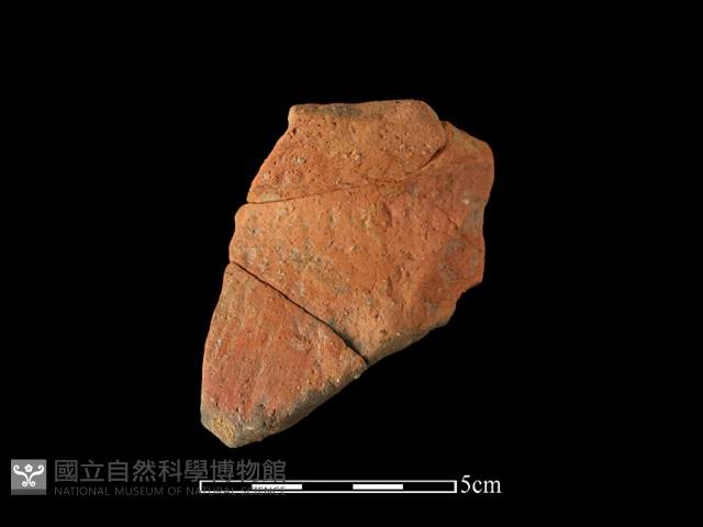 陶罐藏品圖，第1張