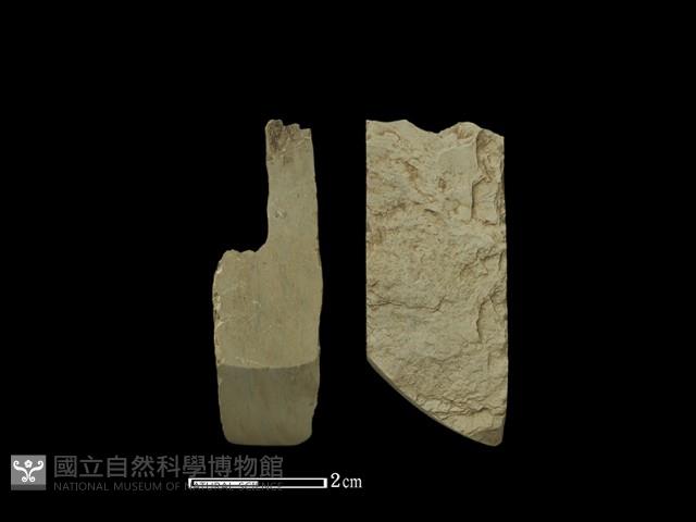 錛鑿形器藏品圖，第1張